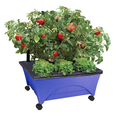 Emsco Group Raised Bed Grow Box, Self Watering and Improved Aeration, Mobile Unit with Casters, Cobalt Blue 2348-1HD